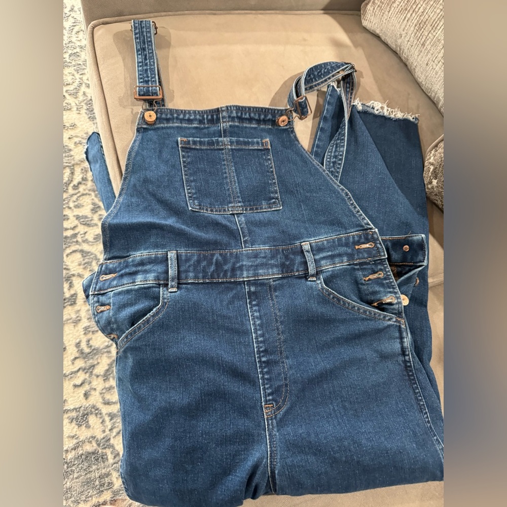 Express Women’s jean overalls
